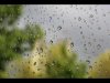 Carol Thorne_April_Landscape_Rain on the window