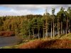 Peggy Howard_October_Technical-Looking down on Tarn Howes