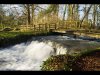 16_Gordon Hart_River Coln near Fairford