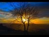 11 Russell Discombe - 'Sunset silhouette'