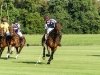 08 Ted Parrot - 'Polo match' Commended