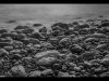 12_Patrick Barker_Rocky beach