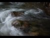14_Alun Thomas_Flowing water