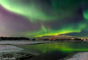 David-Wallis-cccweb_Davidwallis_Aurura-Alta-