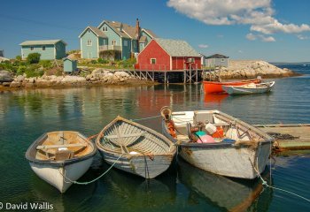 David-Wallis-cccweb_Davidwallis_Peggys-Cove