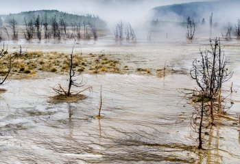 David-Wallis-cccweb_Davidwallis_Yellowstone-9026-mod