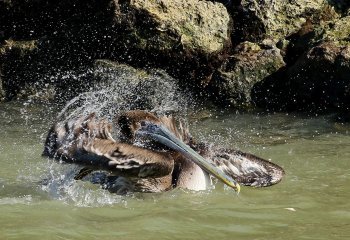 Martyn-Smith-Bathtime