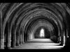 8-Val Thomas-Cellarium arches