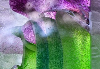 paul-jones-cccweb_pauljones_GreenShoots