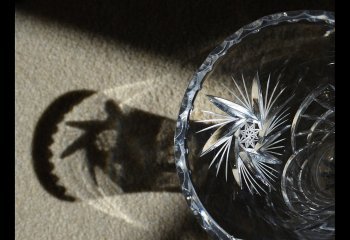 paul-jones-cccweb_pauljones_SpangleShadow