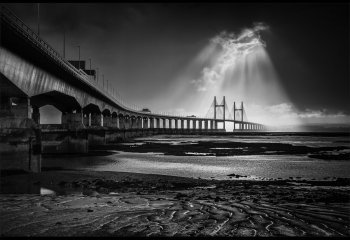 Shaun-Little-CCCWEB_Shaun-Little_Natural-Mimic