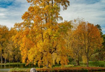 stephen-chapman-cccweb_stephenchapman_5contemplation